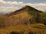 vrch Baraniarky 1270 m.n.m. a Kraviarske 1361 m.n.m. 